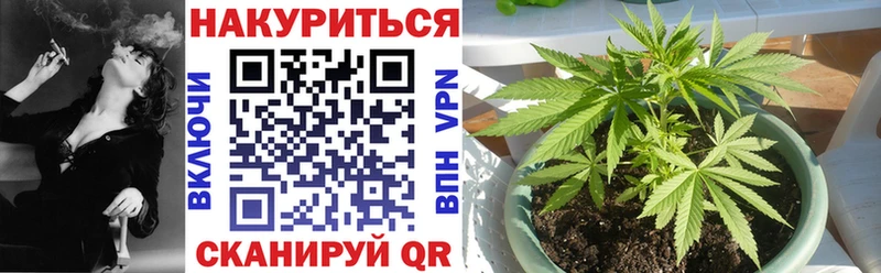 Купить где  Камышлов  Канабис SATIVA & INDICA 
